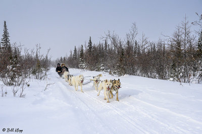 Kelly's Dog Sled Camp  9