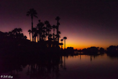 Sunset Palms  3