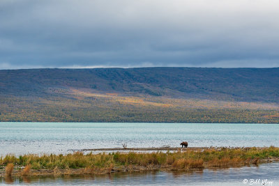 g12/57/566457/3/172017887.o7pFioRr.jpg