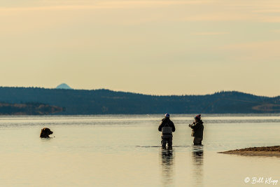 Fly Fishing, Kulik River  7