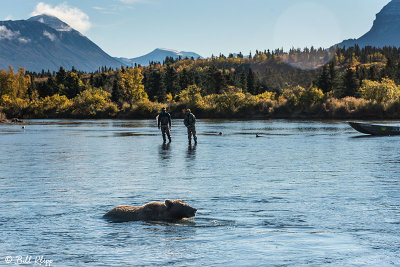 Fly Fishing, Kulik River  1