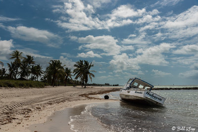 Cuban Chug, Smathers Beach  28d