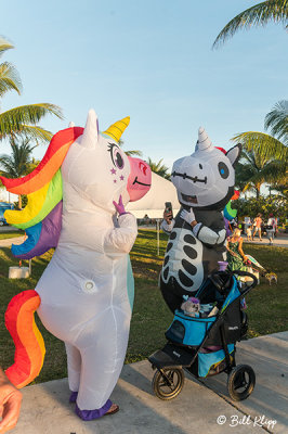 Pet Masquerade Contest, Fantasy Fest  1
