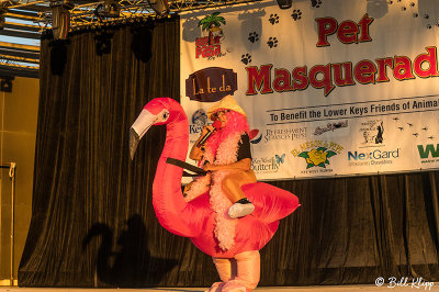 Pet Masquerade Contest, Fantasy Fest  7