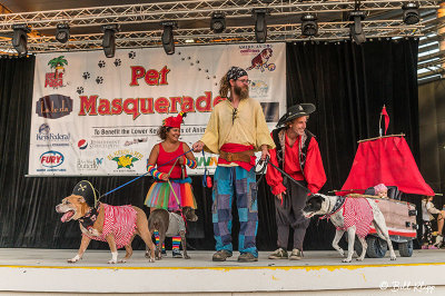 Pet Masquerade Contest, Fantasy Fest  10