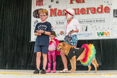 Pet Masquerade Contest, Fantasy Fest  15