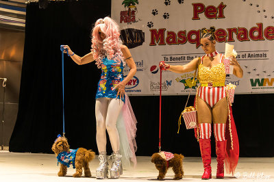 Pet Masquerade Contest, Fantasy Fest  20