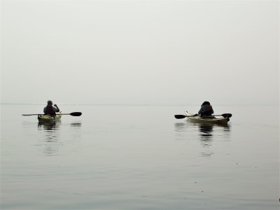 Kayaking Silver Harbour
