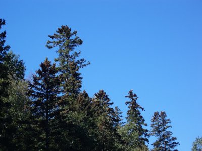 P9153686.JPG