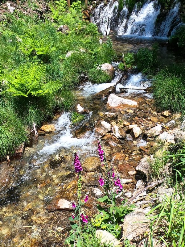 By the Waterfall 