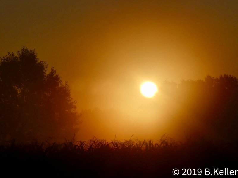 Sunrise with fog 