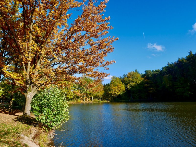 By the lake 