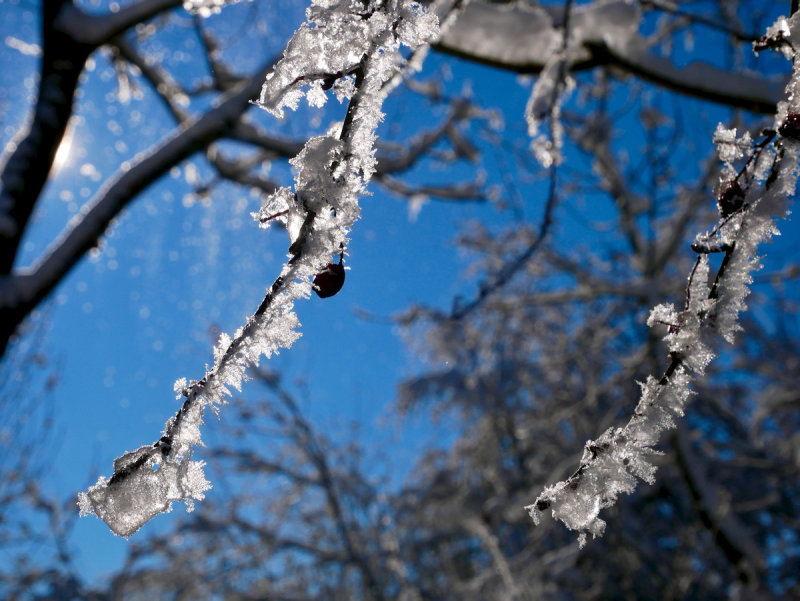 Sparkling winter 