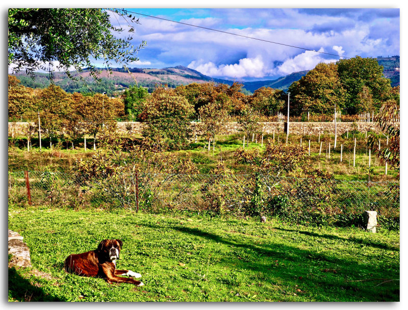 Autumn