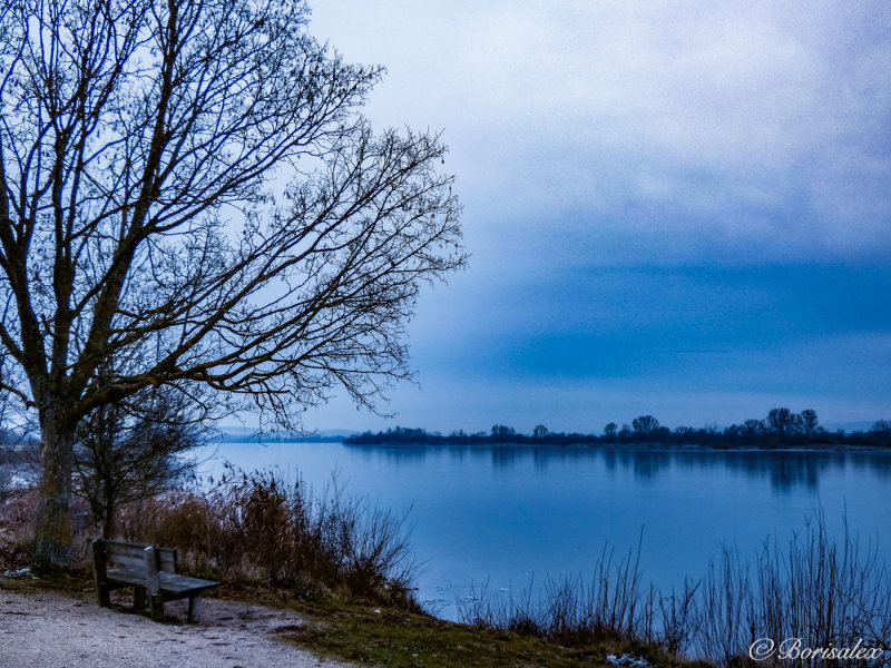 By the lake