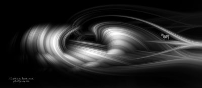 imaginaire # 2.jpg