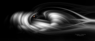 imaginaire # 1.jpg