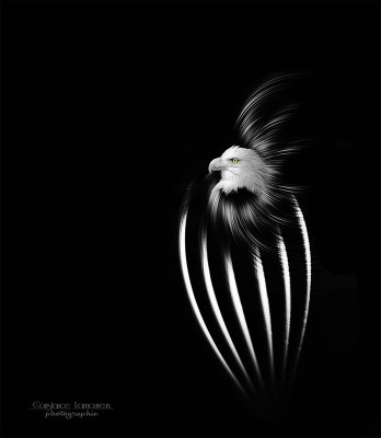 imaginaire #6.jpg