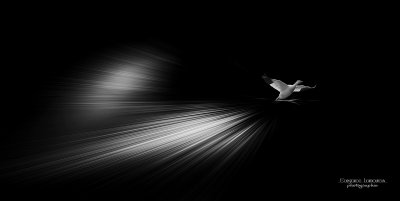 imaginaire #7.jpg