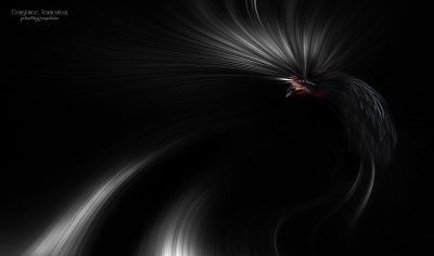 imaginaire #8.jpg