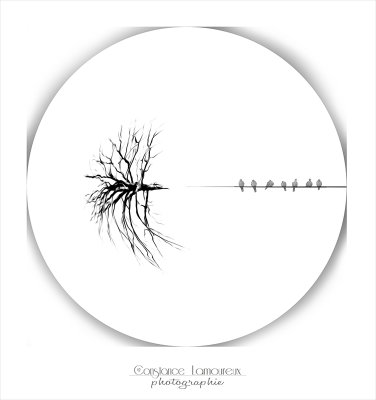 Imaginaire #10.jpg