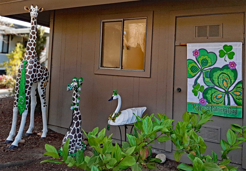 St Patricks day giraffs whimsy corner.jpg
