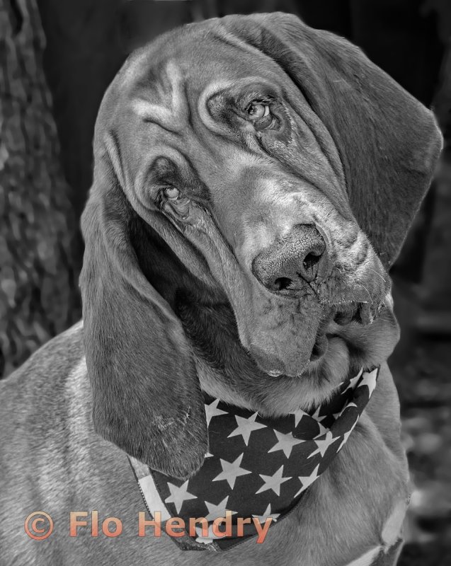 Duke
