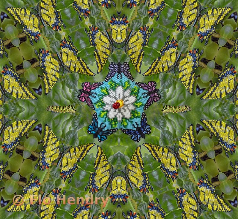 Fluttering Around