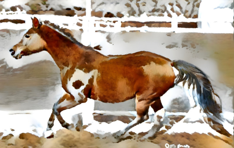 Wyndi Bev Doolittle Pinto.jpg