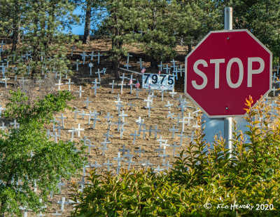 Lafayette Memorial Crosses casualty count 2020.jpg