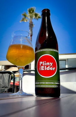 Pliny the Elder