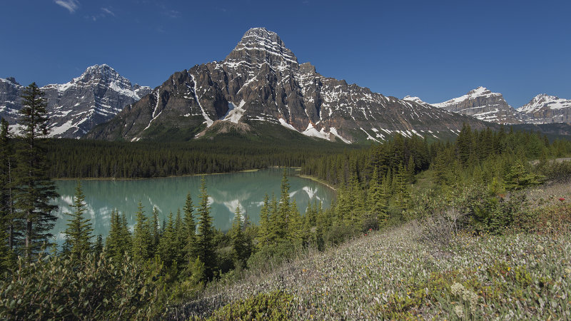 Snow Reflected - Banff National Park