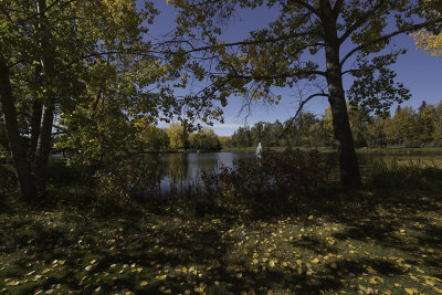 g12/58/1054658/3/171993652.wpvmSNoK.jpg