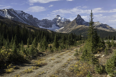 Sunwapta Pass (2,035 m/6,677 ft)