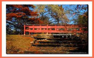 fallsamfarm2019