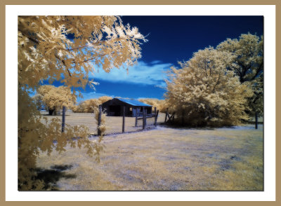 ir_samuell_farms