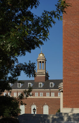 smu5.jpg
