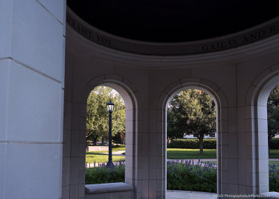 smu8.jpg
