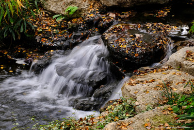 japanesegarden