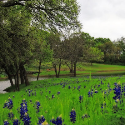 ennisbluebonnets21