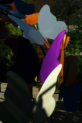 gv6.jpg