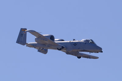 as12.jpg