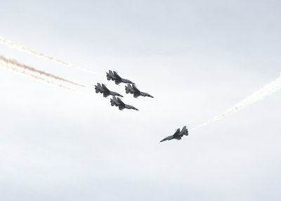 as15.jpg