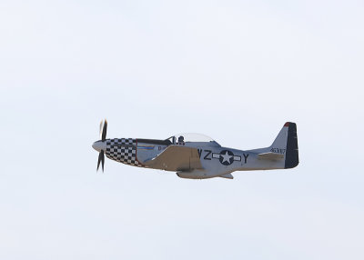 as22.jpg