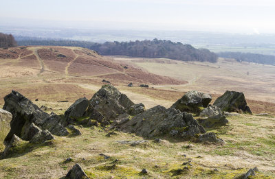 BradgatePark01.jpg
