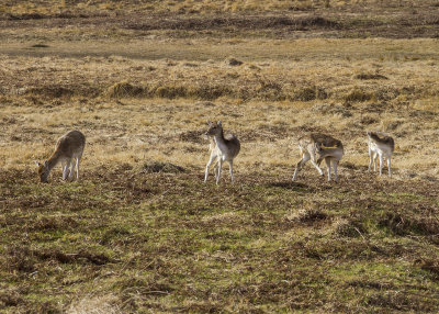 BradgatePark11.jpg