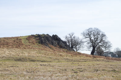 BradgatePark12.jpg