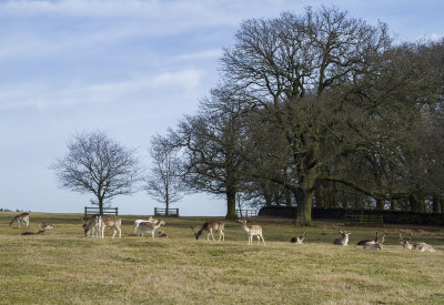 BradgatePark14.jpg