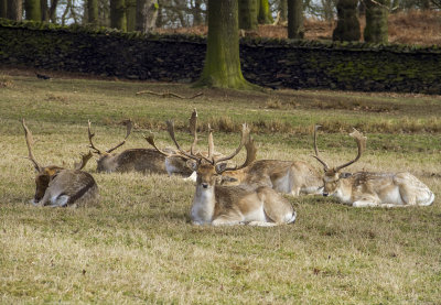 BradgatePark15.jpg