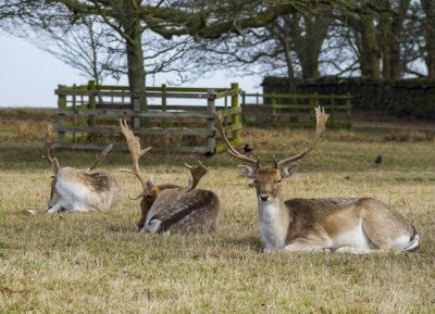 BradgatePark16.jpg